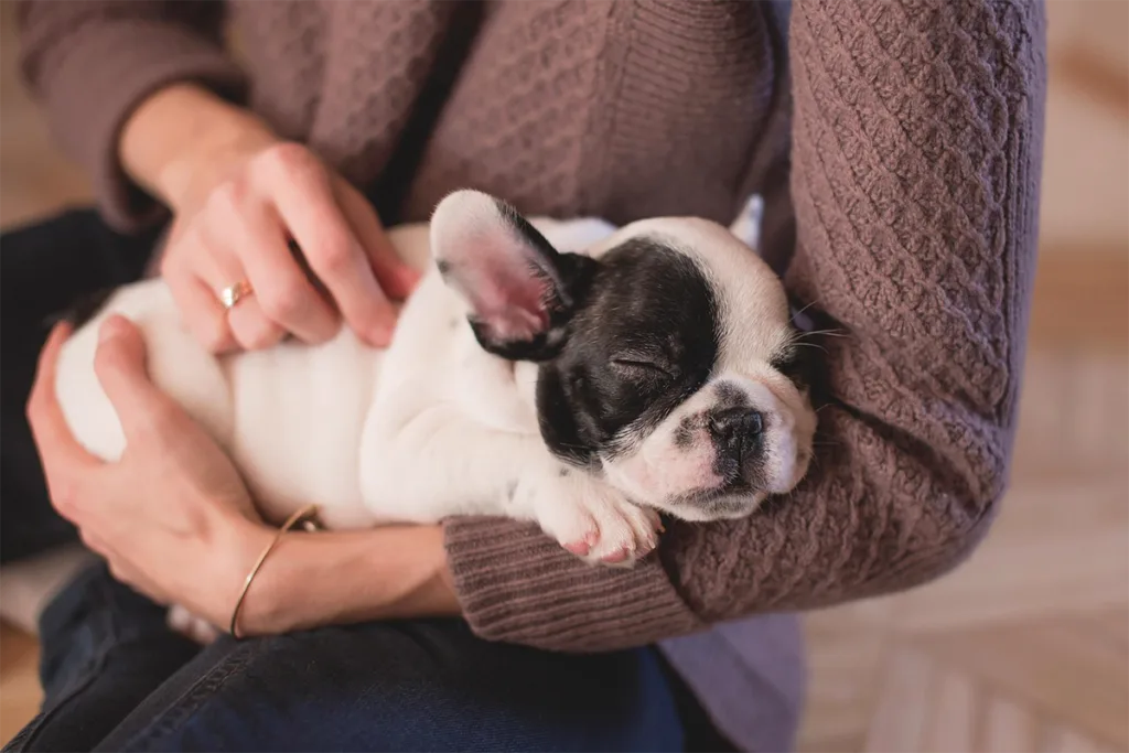 Tendresse-entre-un-petit-chien-et-sa-maîtresse