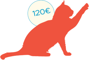 icon_chat_orange