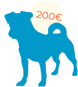 icon-chien-bleu