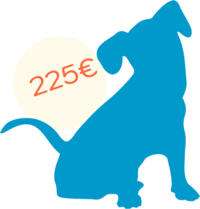 icon-chiot-bleu