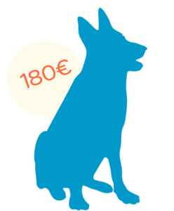 icon-senior-bleu