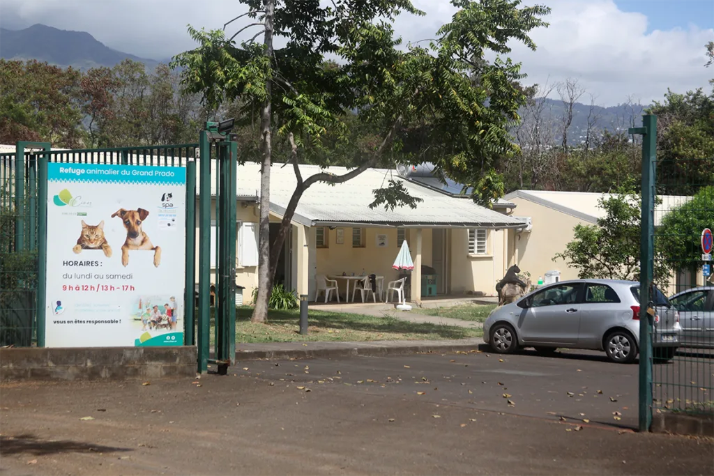 Locaux-de-la-SPA-Sainte-Marie-Réunion