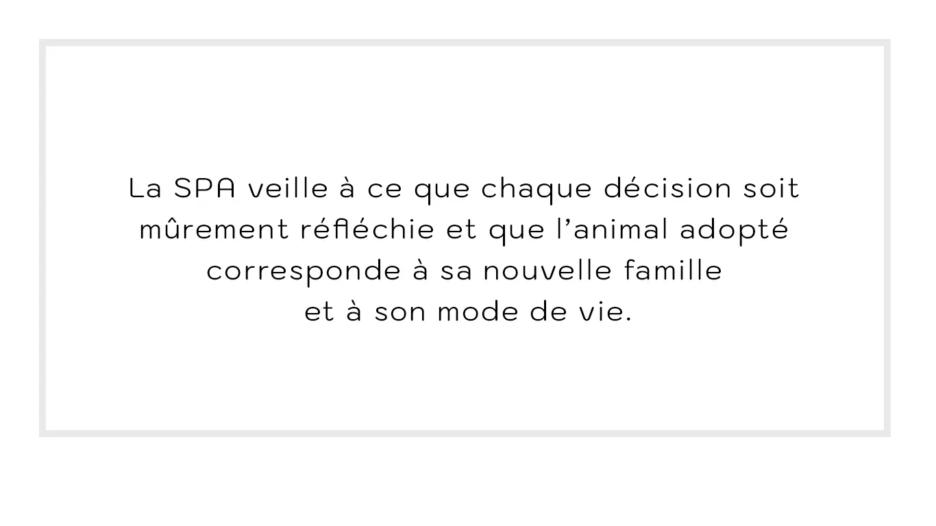 texte-adoption-responsable.