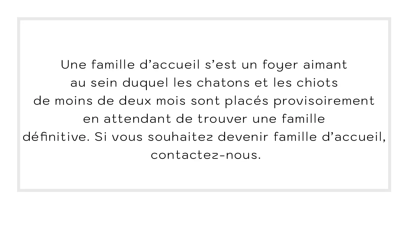 texte-famille-accueil