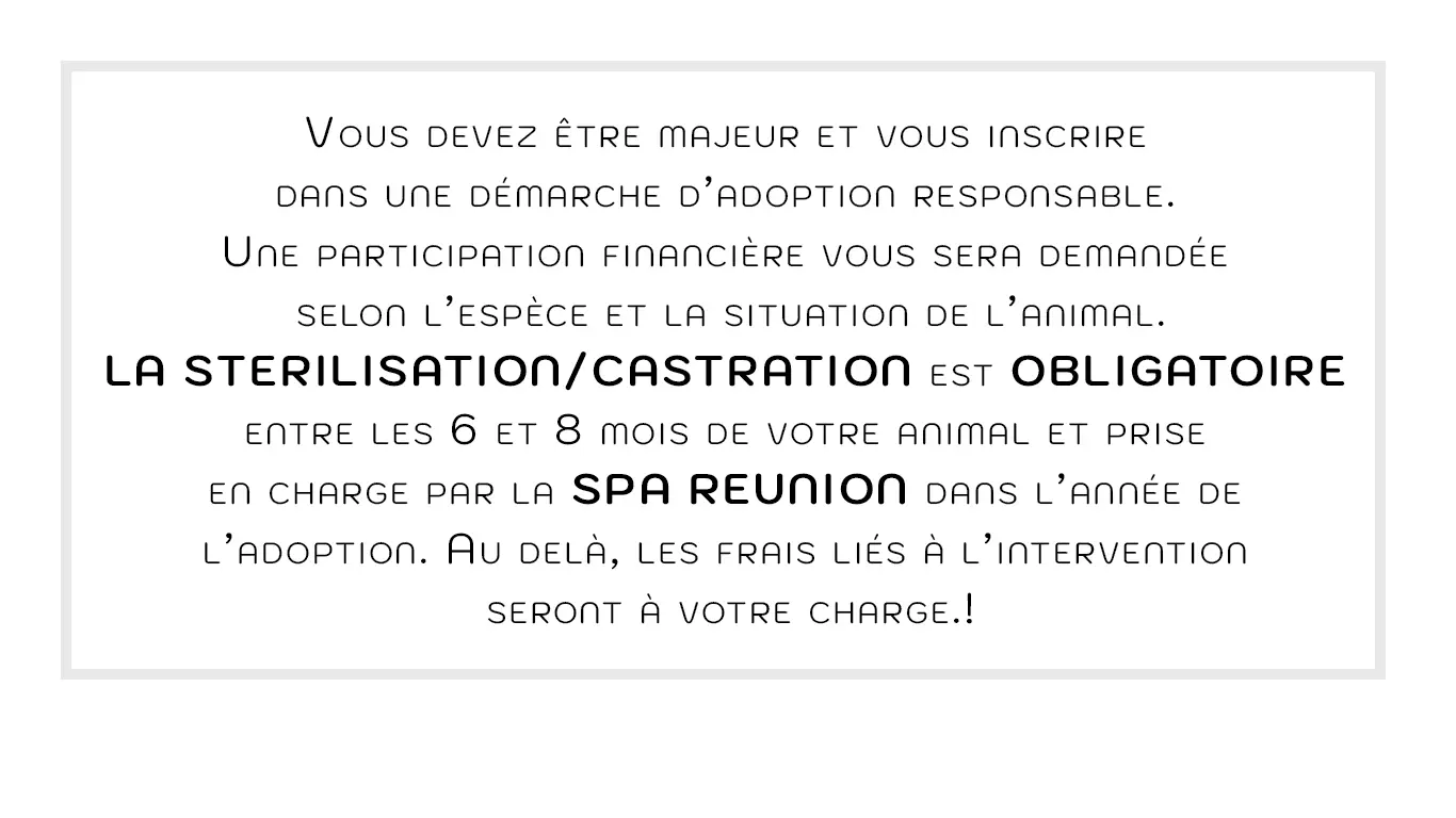 texte-les-conditions-adoption