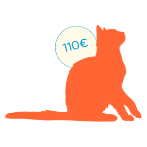 icone chat senior