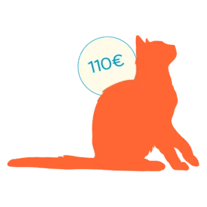 icone chat senior