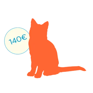 icone chat junior
