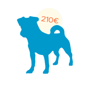 icone chien adulte
