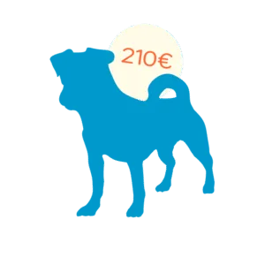 icone chien adulte